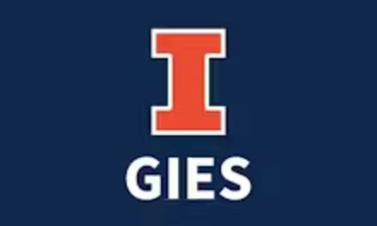 Foundations of Strategic Internal Auditing