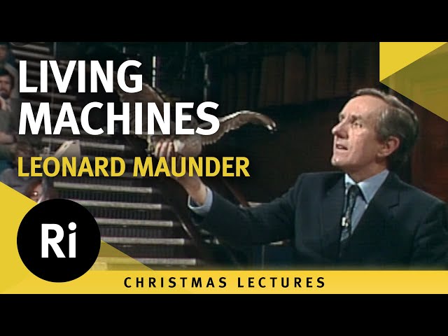 Living Machines - Animal Locomotion and Biomechanics - Lecture 6