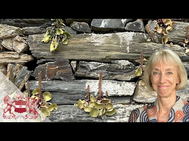 Nature and Cultural Heritage - How to Conserve These Sources of Inspiration