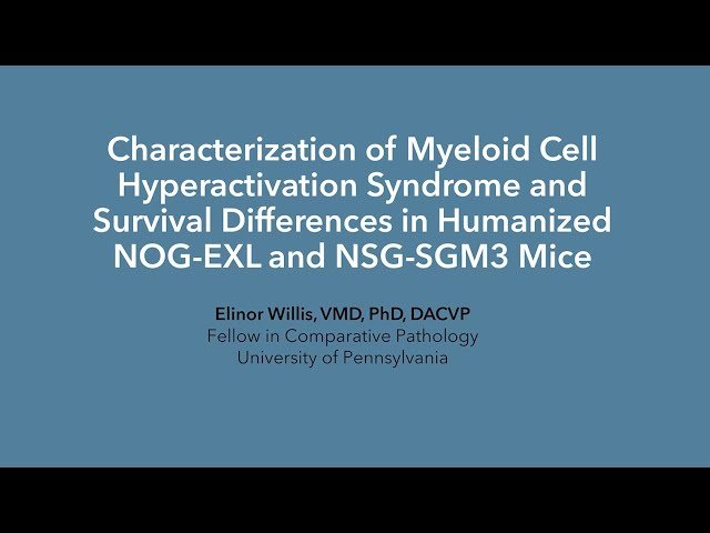 Characterization of Myeloid Cell Hyperactivation Syndrome and Survival Differences in Humanized NOG-EXL and NSG-SGM3 Mice