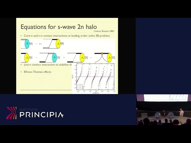 Testing Universality in Breakup Reactions on Halo Nuclei