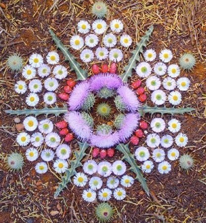 Virtual Earth Day Create: Nature Mandala Workshop (Team Building)