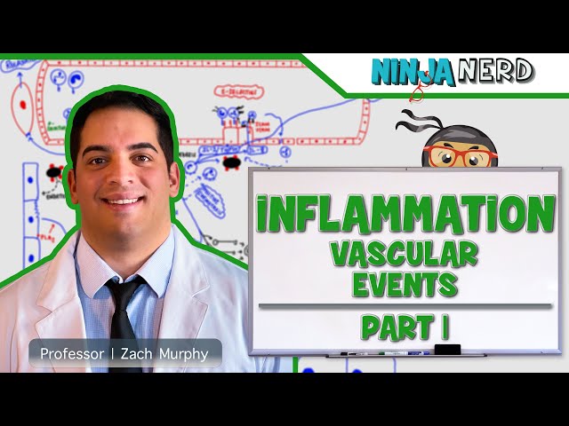 Immunology - Inflammation, Adaptive Immunity, and Immune System Overview