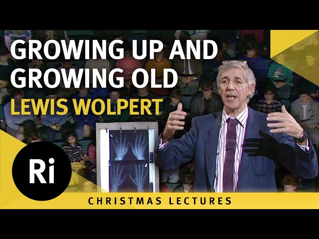 Growing Up and Growing Old - Lecture 6