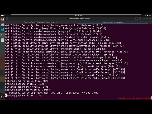 Fuzzing tcpdump - Fuzz1001 06 05