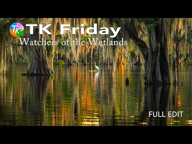 Watchers of the Wetlands - Complete Photo Editing Tutorial with TK9 Plugin for Photoshop