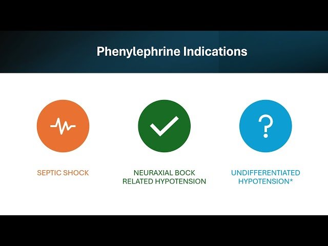 Catecholaminergic Pressors and Inotropes