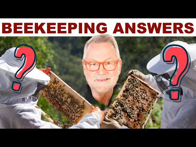 Beekeeping Tips For 17 Questions Beekeepers Asked