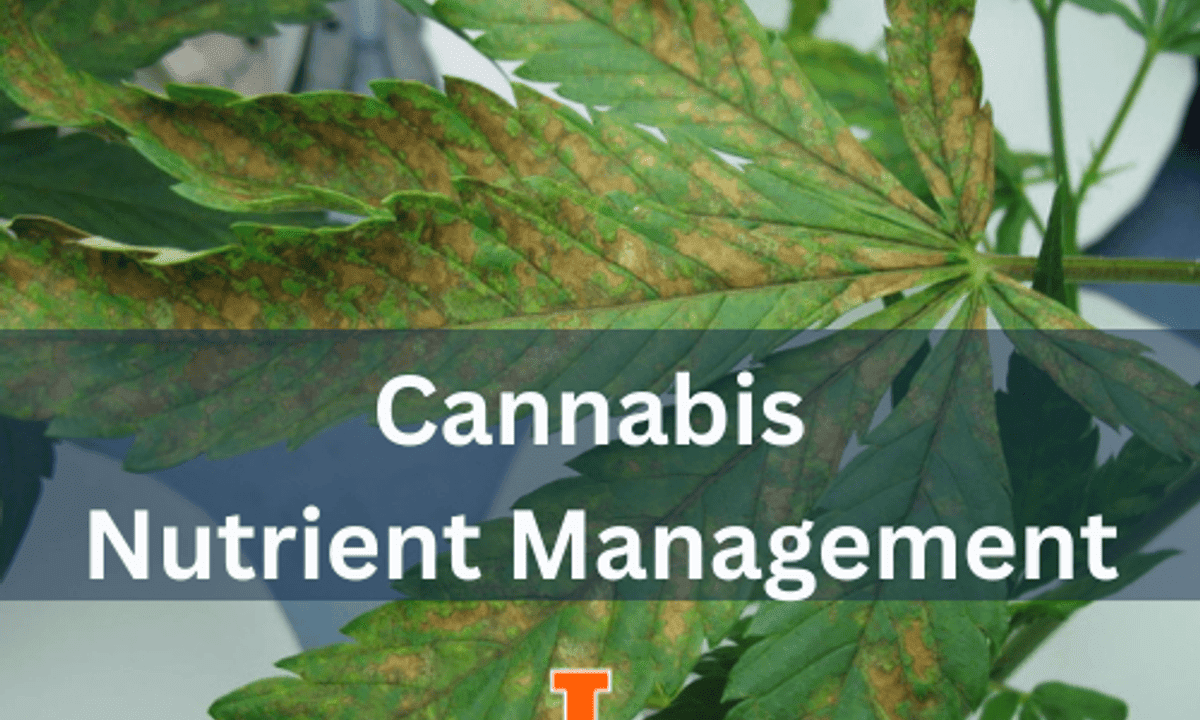 Cannabis Nutrient Management
