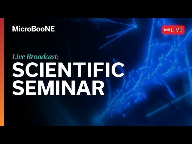 MicroBooNE Finds No Evidence for a Single Sterile Neutrino