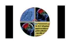 Cognitive Radio Networks