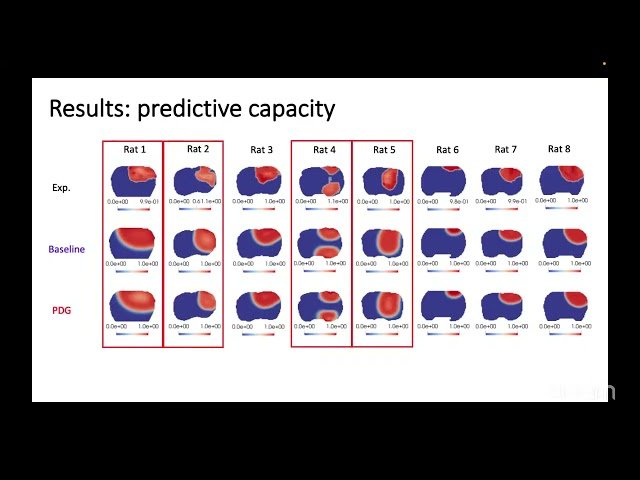 Incorporating Phenotypic Plasticity into MRI-Informed GBM Modeling