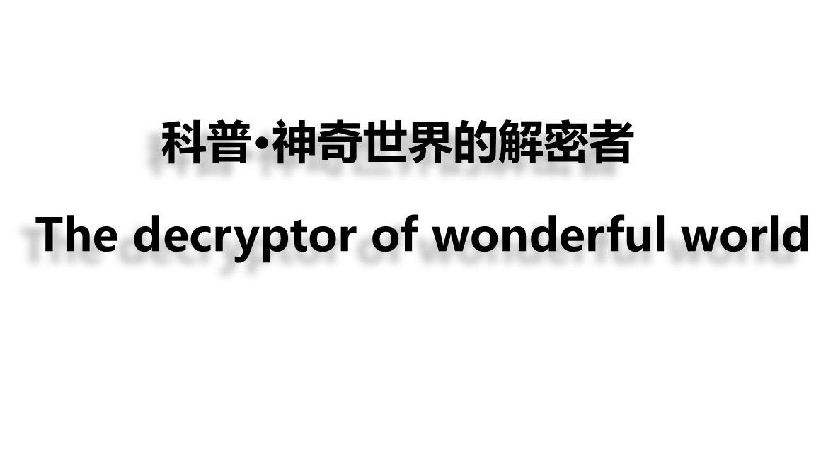 The decryptor of the wonderful world