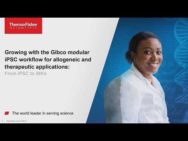 Optimizing iPSC-Derived Cell Therapy Development for Allogeneic and Therapeutic Applications