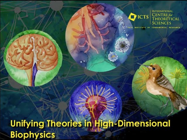Emergence of In-Context Learning in Small Transformer Models