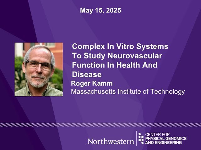 Complex In Vitro Systems To Study Neurovascular Function In Health And Disease