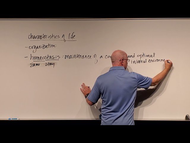 Microbiology Lecture - Test 1 Videos