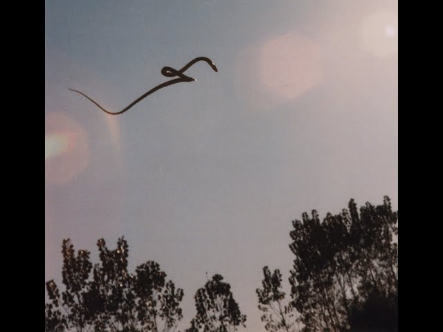 The Mechanics of Snakes in Flight