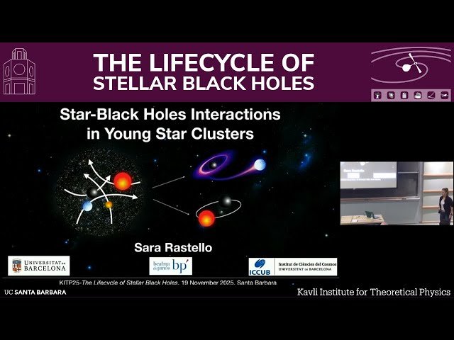 Star-Black Hole Interactions in Young Star Clusters