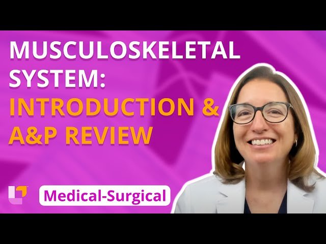 Medical-Surgical Musculoskeletal System