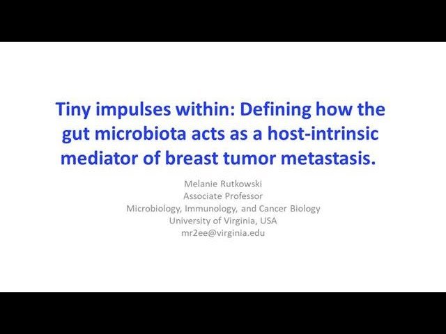 Tiny Impulses Within - Defining How the Gut Microbiota Acts as a Host-Intrinsic Mediator of Breast Tumor Metastasis
