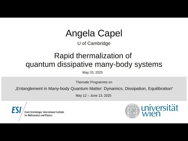 Rapid Thermalization of Quantum Dissipative Many-Body Systems