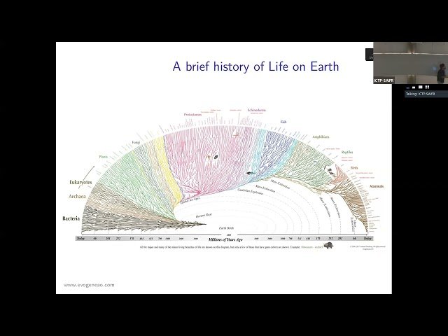 What's in a Name - the Anthropocene