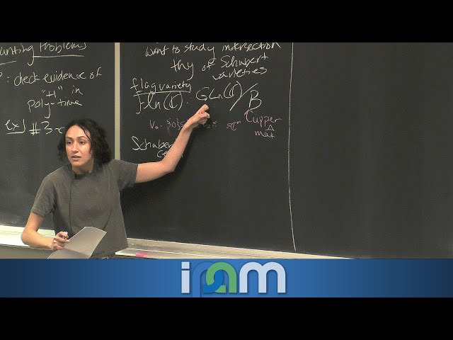 Computational Interactions between Algebra, Combinatorics, and Discrete Geometry - 2025