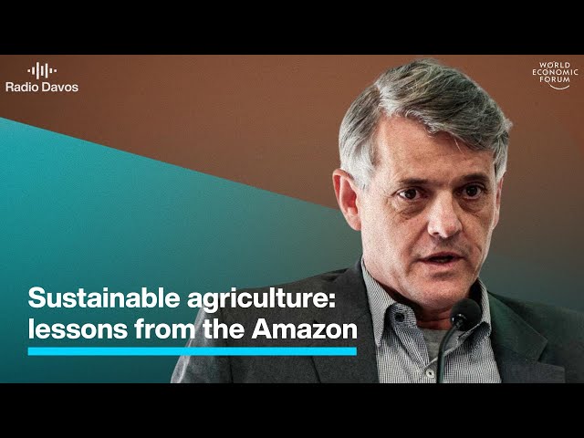 Sustainable Agriculture - Lessons from the Brazilian Amazon