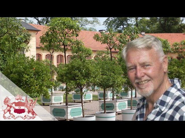 The World According to Citrus - Origins, Culture, and Future of Hybrid Fruits