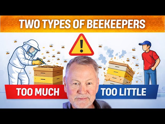Beekeeping - When Trying Too Hard Is Just as Dangerous as Not Trying