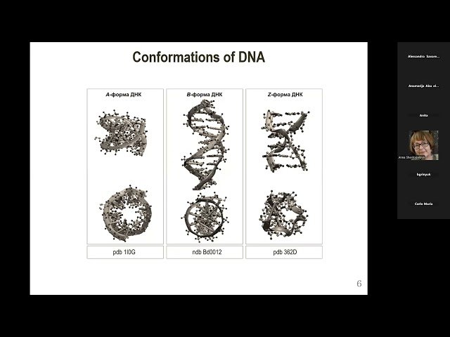 Counterions Confined in DNA Nanomaterials - Insights from Modeling and Simulation