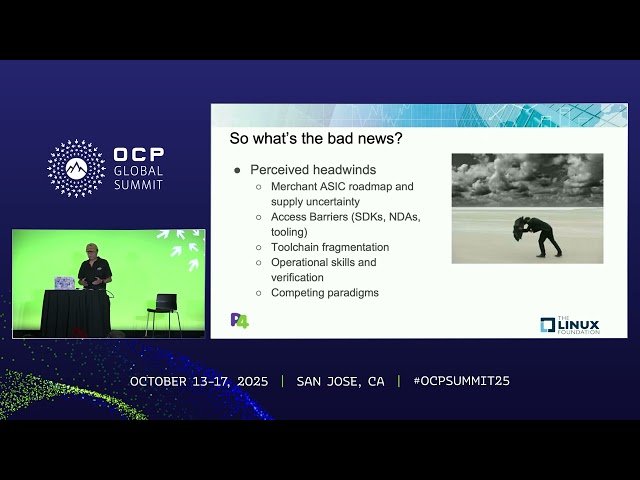 New Dawn of P4 - Protocol Independence and Network Transformation in AI and HPC Era