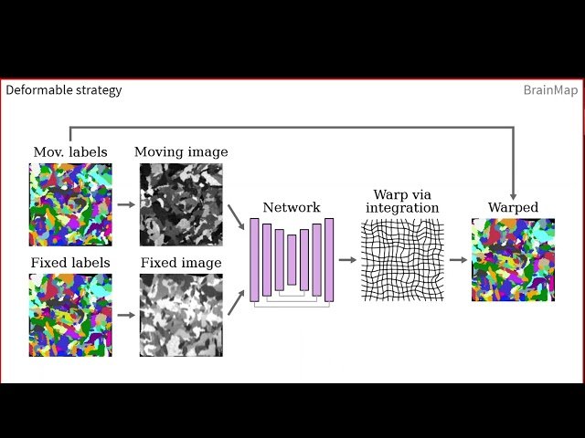 Generalizable Deep Learning for Neuroimage Analysis