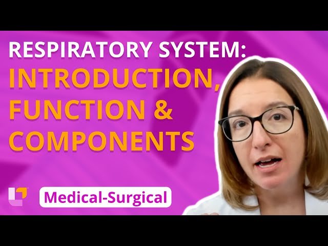 Medical-Surgical Nursing - Respiratory System