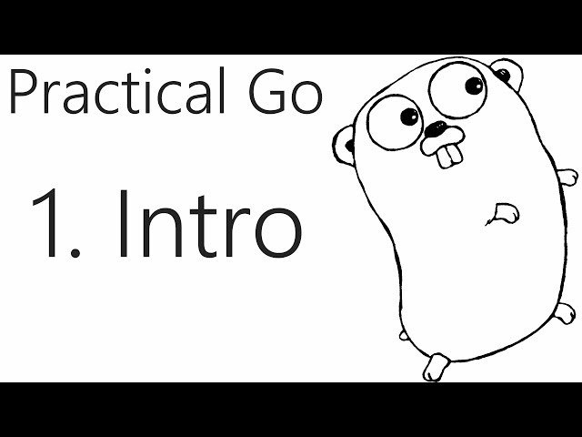 Go Language Programming Practical Basics Tutorial