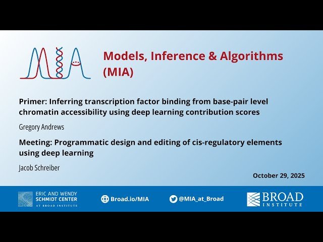 Programmatic Design and Editing of Cis-Regulatory Elements Using Deep Learning - Inferring Transcription Factor Binding from Chromatin Accessibility
