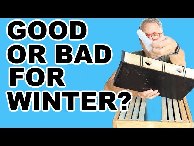 Beekeeping - 27 Things You Must Know