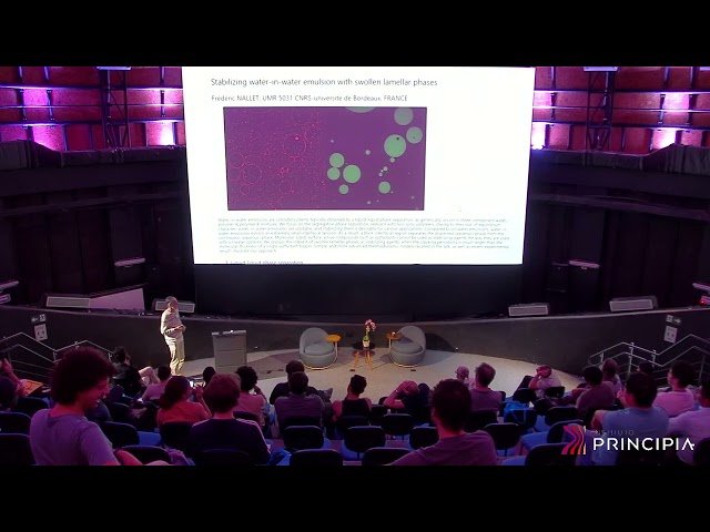 Stabilizing Water-in-Water Emulsion with Swollen Lamellar Phases