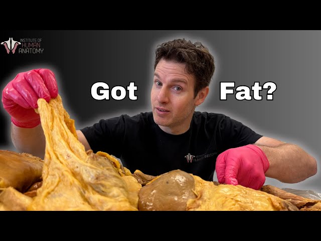 Fat - The Science Behind Body Fat Types, Functions, and Weight Loss