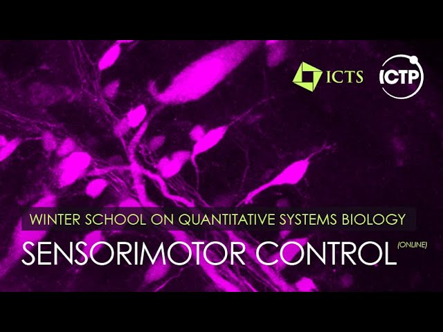 Quantitative Systems Biology - Neural Computation and Behavior