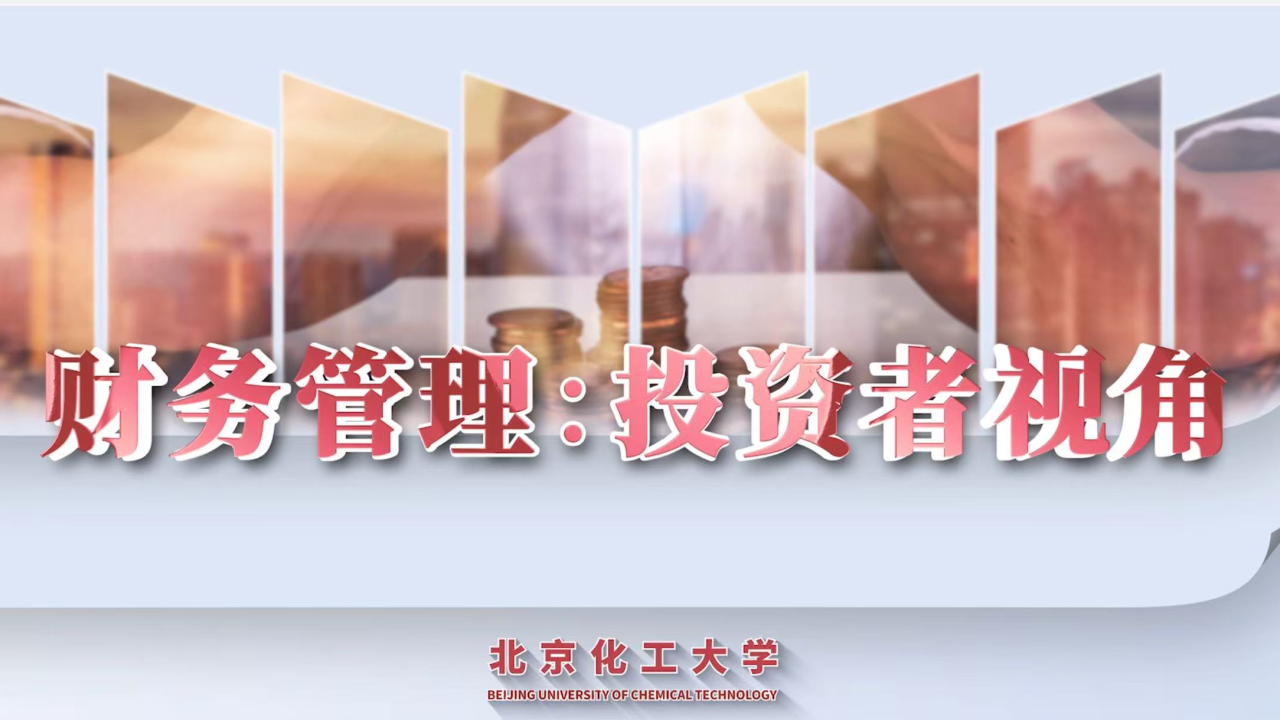 财务管理：投资者视角