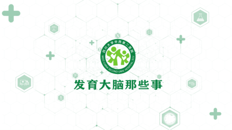 发育大脑那些事