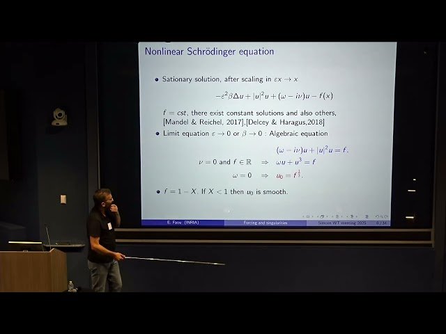 Quasi-Singularities and Power Laws Solutions for PDEs with Forcing