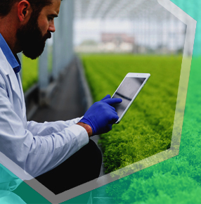 MNR 002:Agricultural Policy: Formulation, Components, Process, Implementation and Comparative Analysis