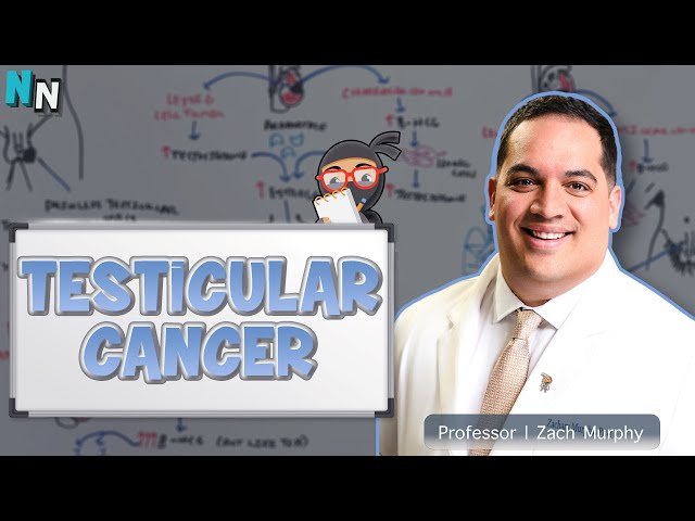 Testicular Cancer - Clinical Medicine