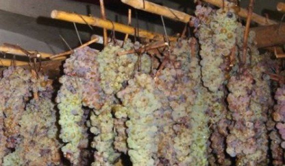 Blind Tasting Bubbles, Botrytis & Fortified Wines (Live Online)