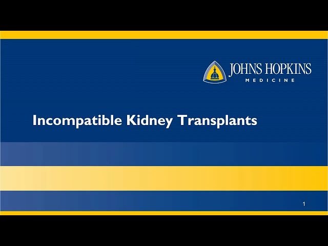 Incompatible Kidney Recipients and Donors Education