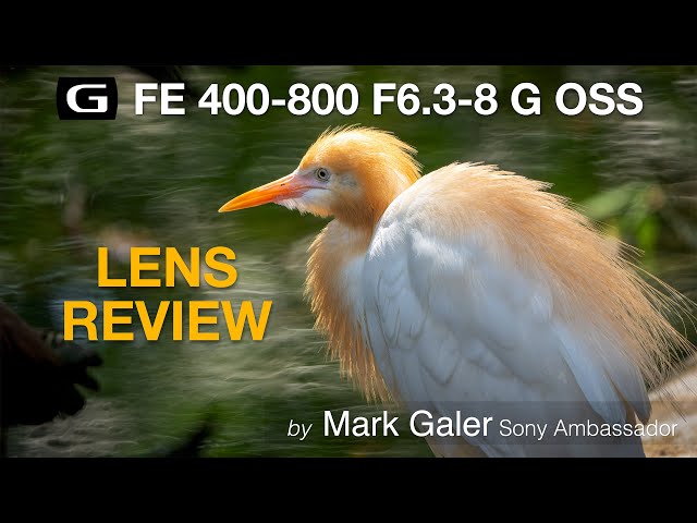 Sony FE 400-800mm F6.3-8 G OSS Lens Review