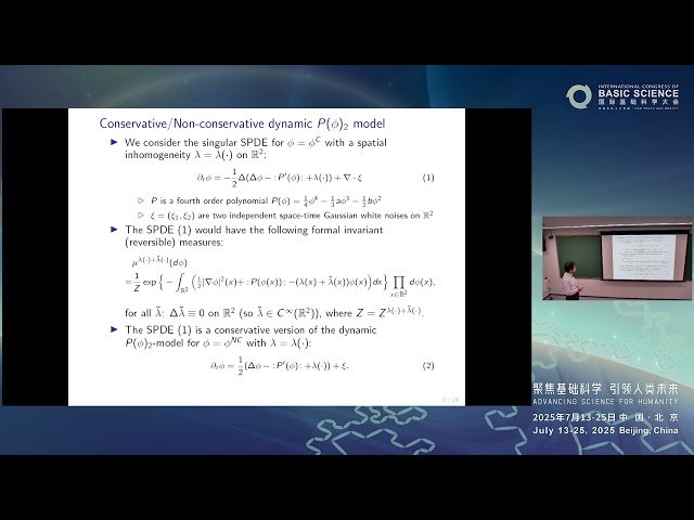 Conservative Dynamic P(φ)₂ Model on the Whole Plane and Its Reversible Measures